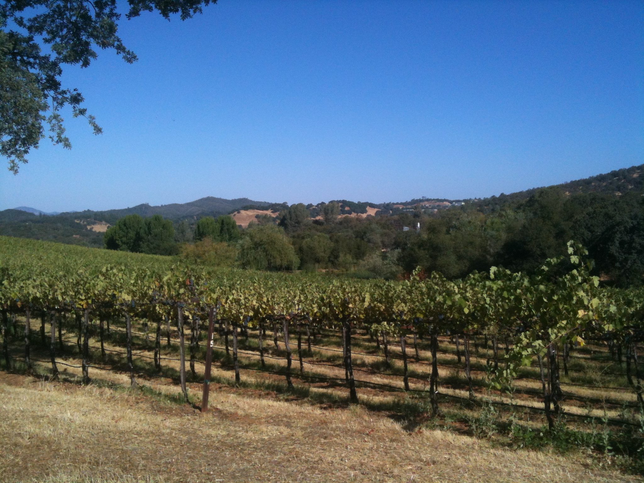 Ranch 2