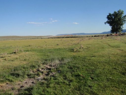 Lakeview Ranch - Cattle/Recreation - 860+/- Acres - Image 23