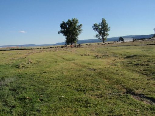 Lakeview Ranch - Cattle/Recreation - 860+/- Acres - Image 11