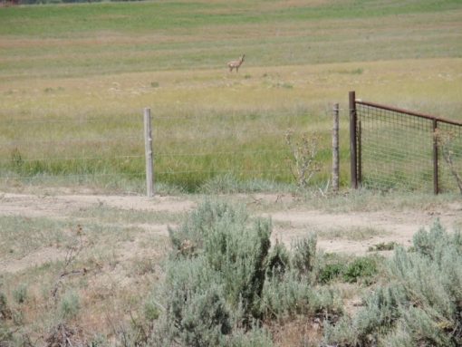 Lakeview Ranch - Cattle/Recreation - 860+/- Acres - Image 24