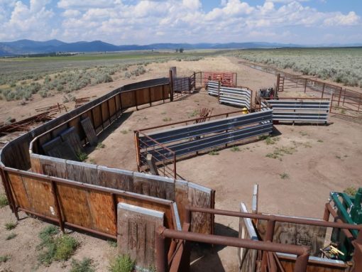 Lakeview Ranch - Cattle/Recreation - 860+/- Acres - Image 21