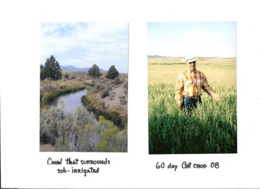 Lakeview Ranch - Cattle/Recreation - 860+/- Acres - Image 34