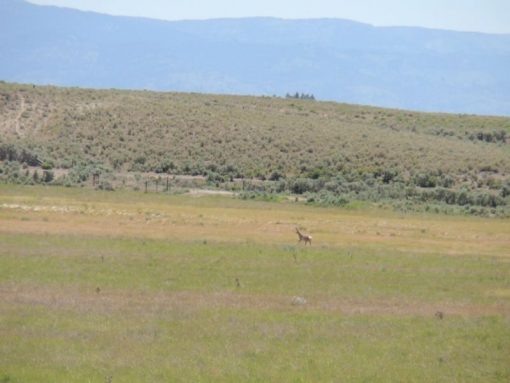 Lakeview Ranch - Cattle/Recreation - 860+/- Acres - Image 12