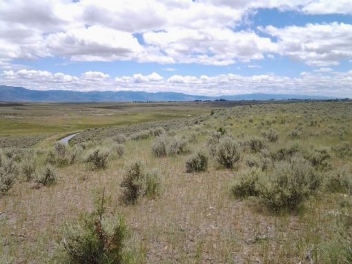 Lakeview Ranch - Cattle/Recreation - 860+/- Acres - Image 5