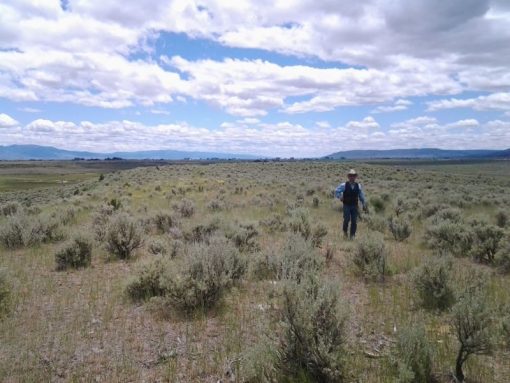 Lakeview Ranch - Cattle/Recreation - 860+/- Acres - Image 6