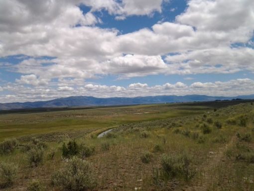 Lakeview Ranch - Cattle/Recreation - 860+/- Acres - Image 9