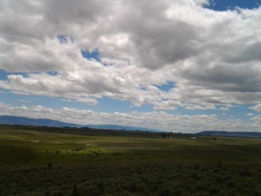 Lakeview Ranch - Cattle/Recreation - 860+/- Acres - Image 10