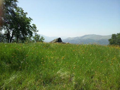 PINE FLAT RANCH - SOLD - Image 5
