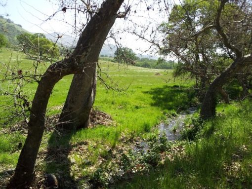 PINE FLAT RANCH - SOLD - Image 2