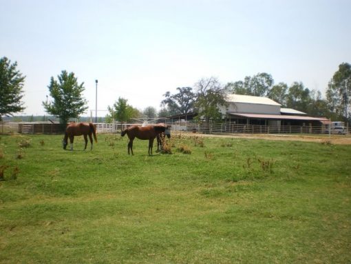 Cassita Horse Facility - Image 6