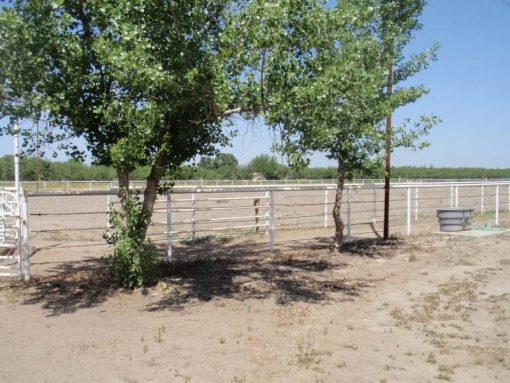 Cassita Horse Facility - Image 7