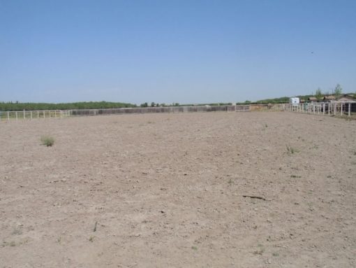 Cassita Horse Facility - Image 4