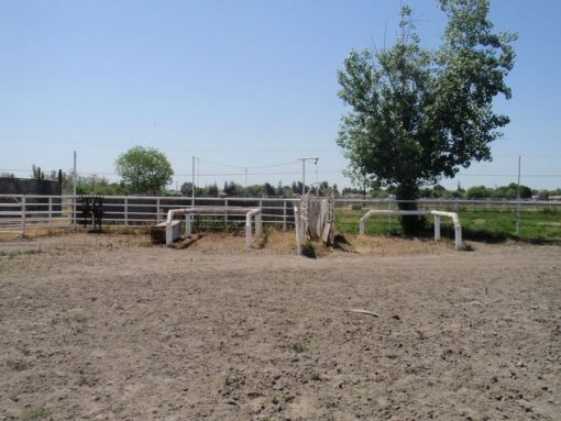 Cassita Horse Facility - Image 8