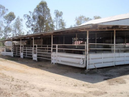 Cassita Horse Facility - Image 2