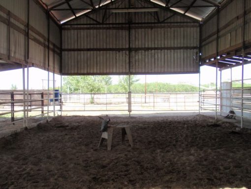 Cassita Horse Facility - Image 3