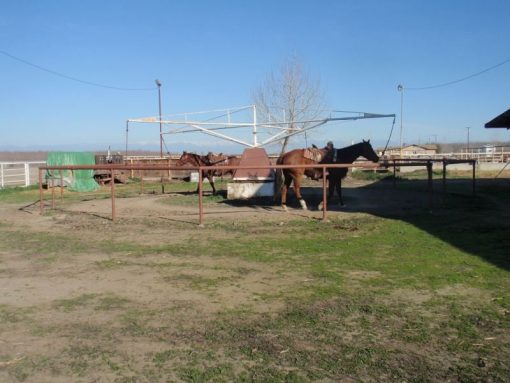 Cassita Horse Facility - Image 9