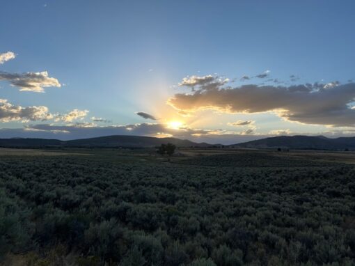 Lakeview Ranch - Cattle/Recreation - 860+/- Acres - Image 2