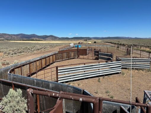 Lakeview Ranch - Cattle/Recreation - 860+/- Acres - Image 20