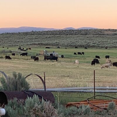 Lakeview Ranch - Cattle/Recreation - 860+/- Acres