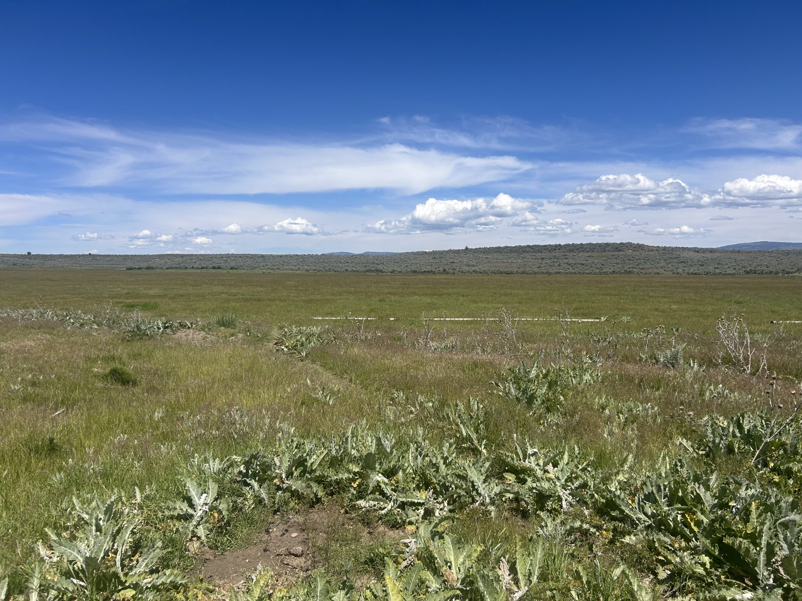 Flowing Wells Ranch - Cattle/Recreation - 868+/- Acres (Lakeview, OR) - Image 76