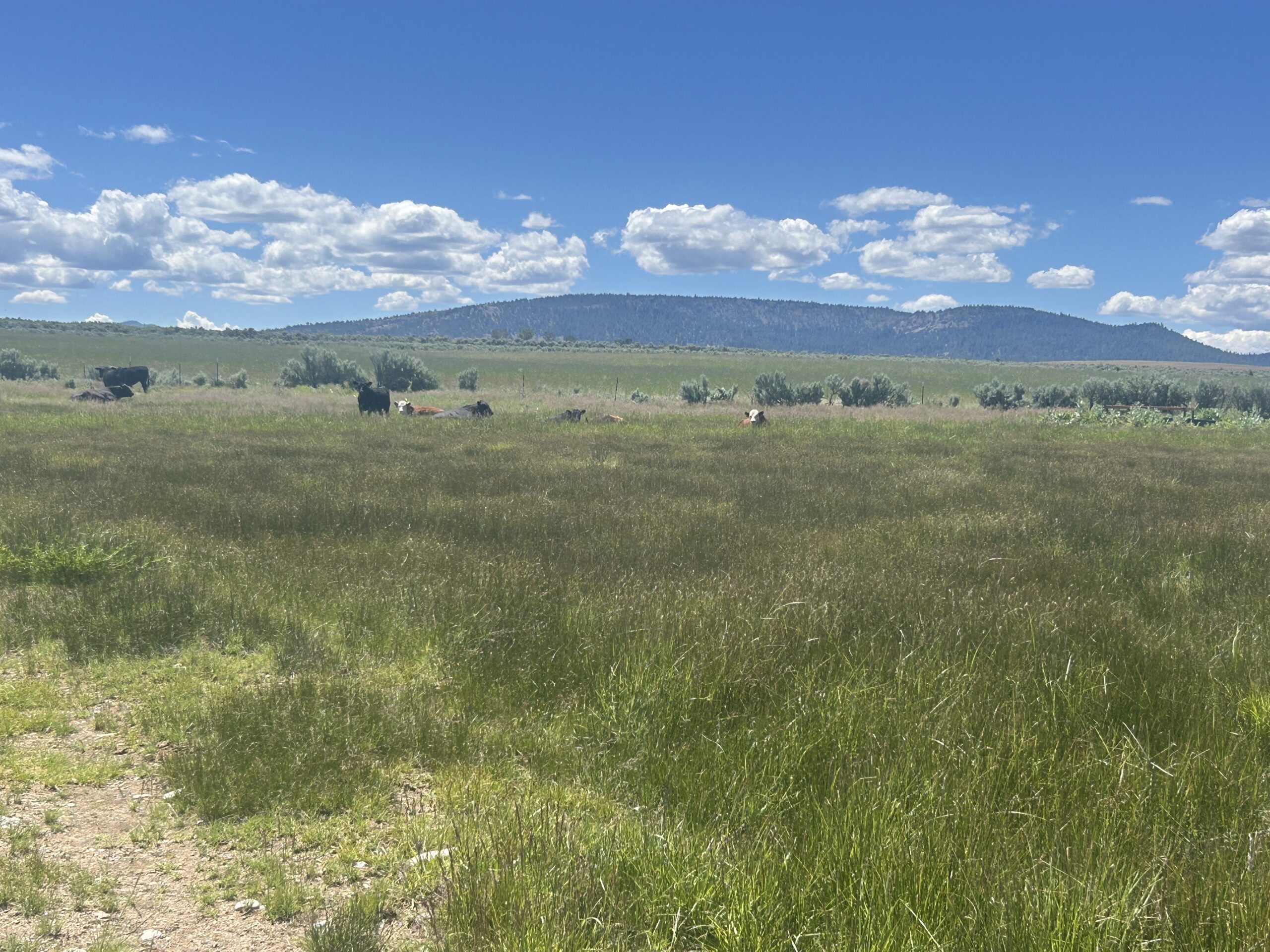 Flowing Wells Ranch - Cattle/Recreation - 868+/- Acres (Lakeview, OR) - Image 77