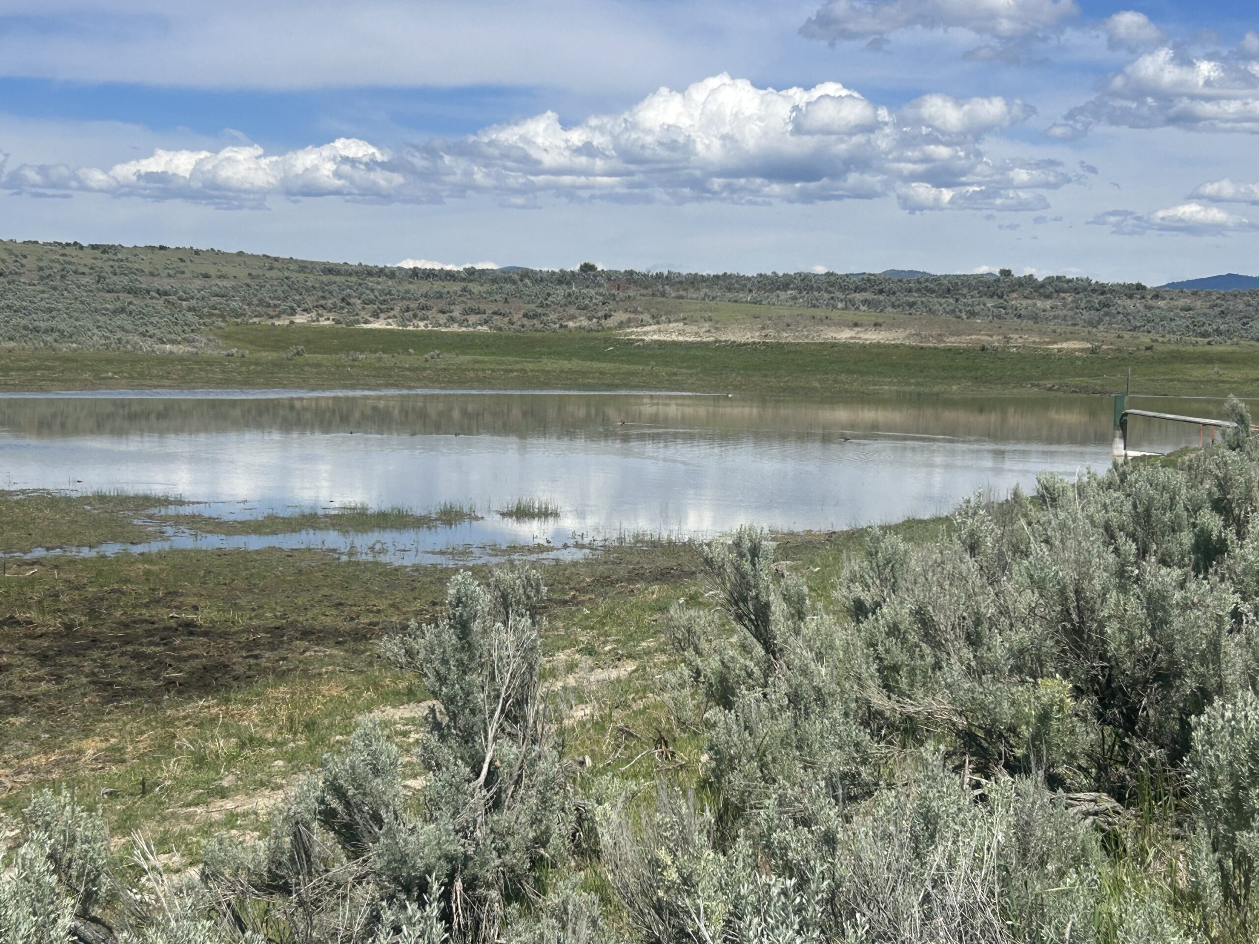 Flowing Wells Ranch - Cattle/Recreation - 868+/- Acres (Lakeview, OR) - Image 55