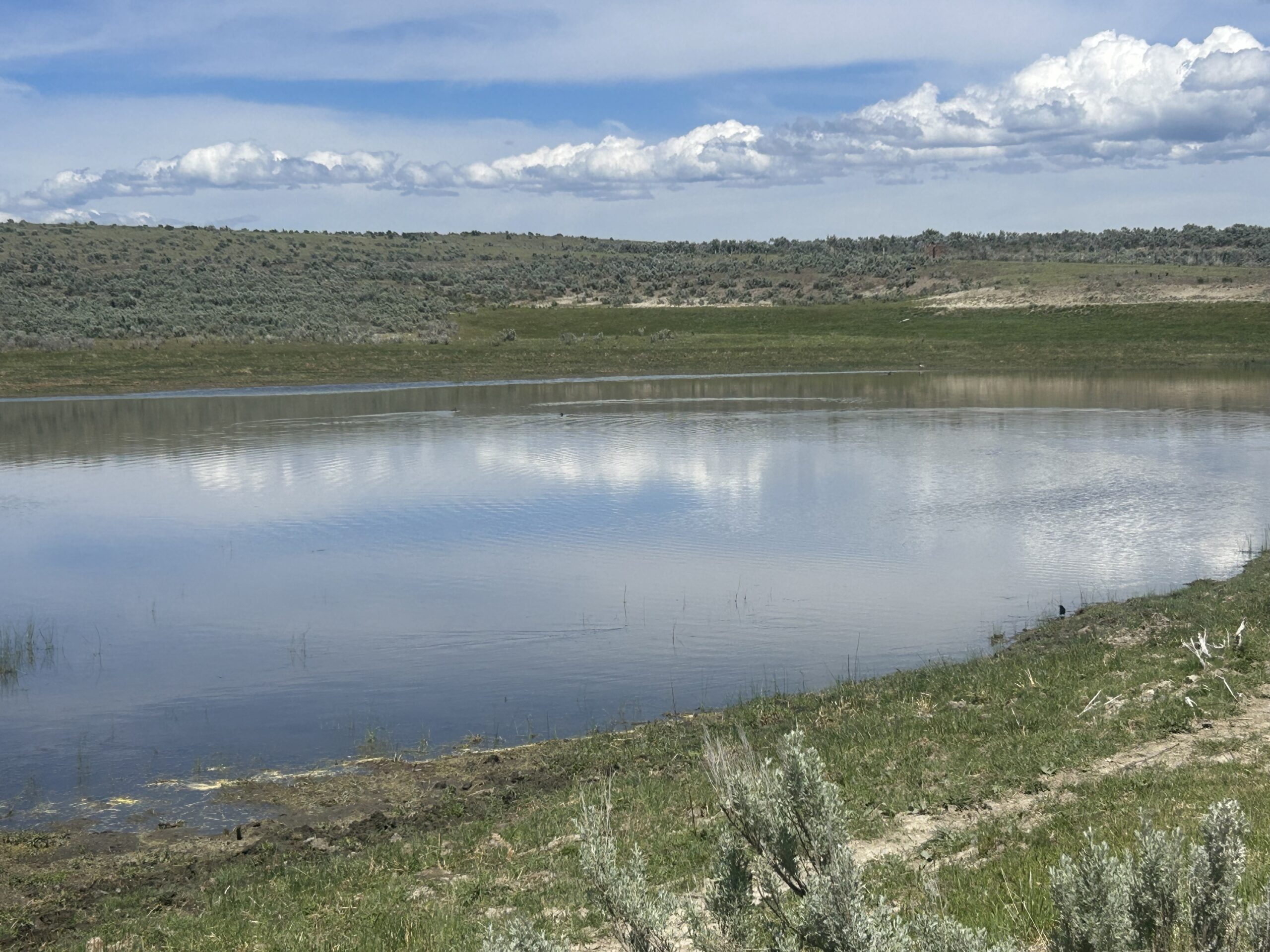 Flowing Wells Ranch - Cattle/Recreation - 868+/- Acres (Lakeview, OR) - Image 75