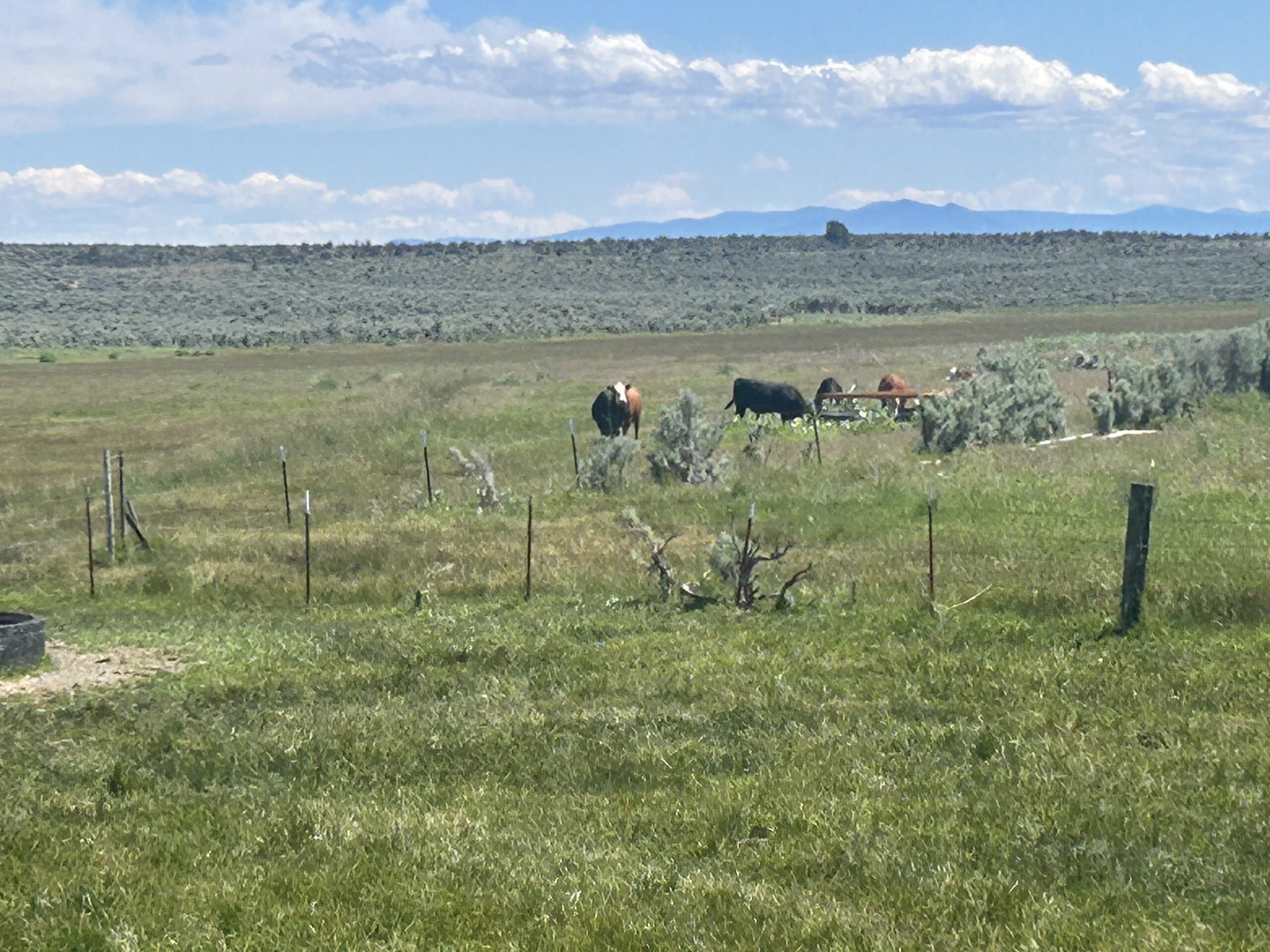 Flowing Wells Ranch - Cattle/Recreation - 868+/- Acres (Lakeview, OR) - Image 73
