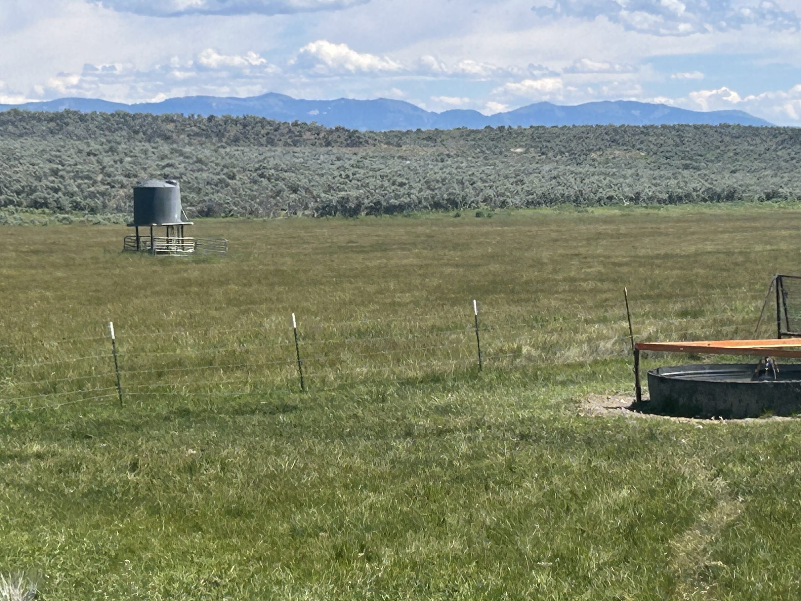 Flowing Wells Ranch - Cattle/Recreation - 868+/- Acres (Lakeview, OR) - Image 72