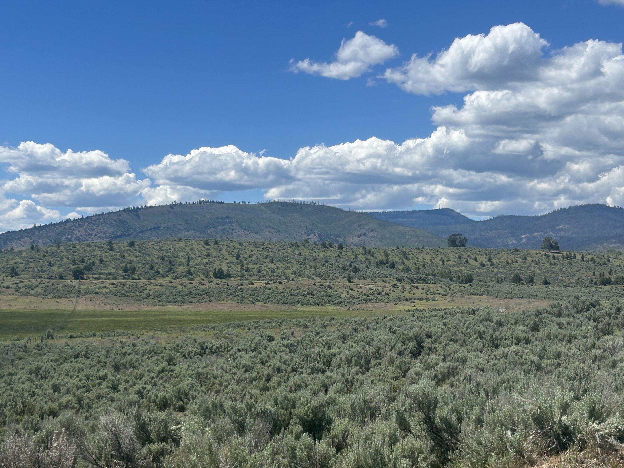 Flowing Wells Ranch - Cattle/Recreation - 868+/- Acres (Lakeview, OR) - Image 70