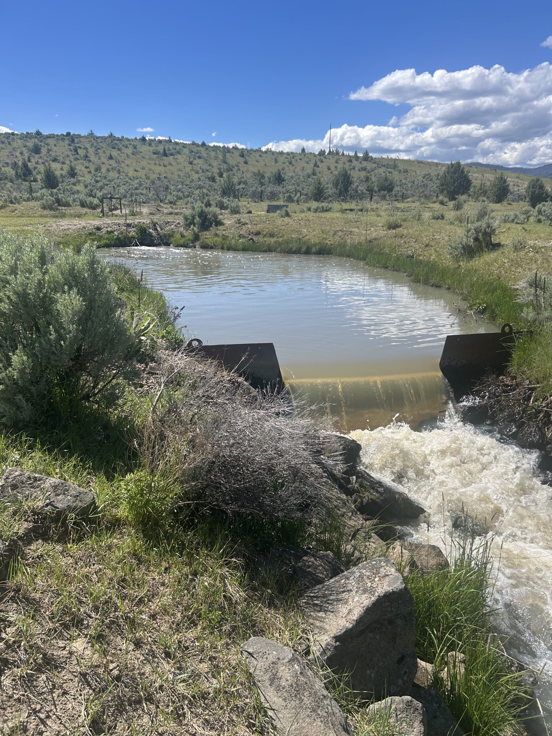 Flowing Wells Ranch - Cattle/Recreation - 868+/- Acres (Lakeview, OR) - Image 53