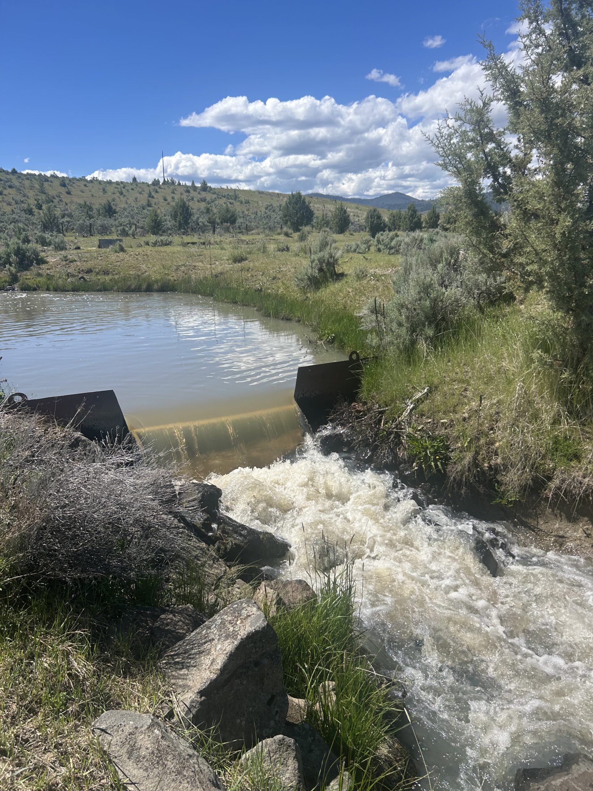 Flowing Wells Ranch - Cattle/Recreation - 868+/- Acres (Lakeview, OR) - Image 69