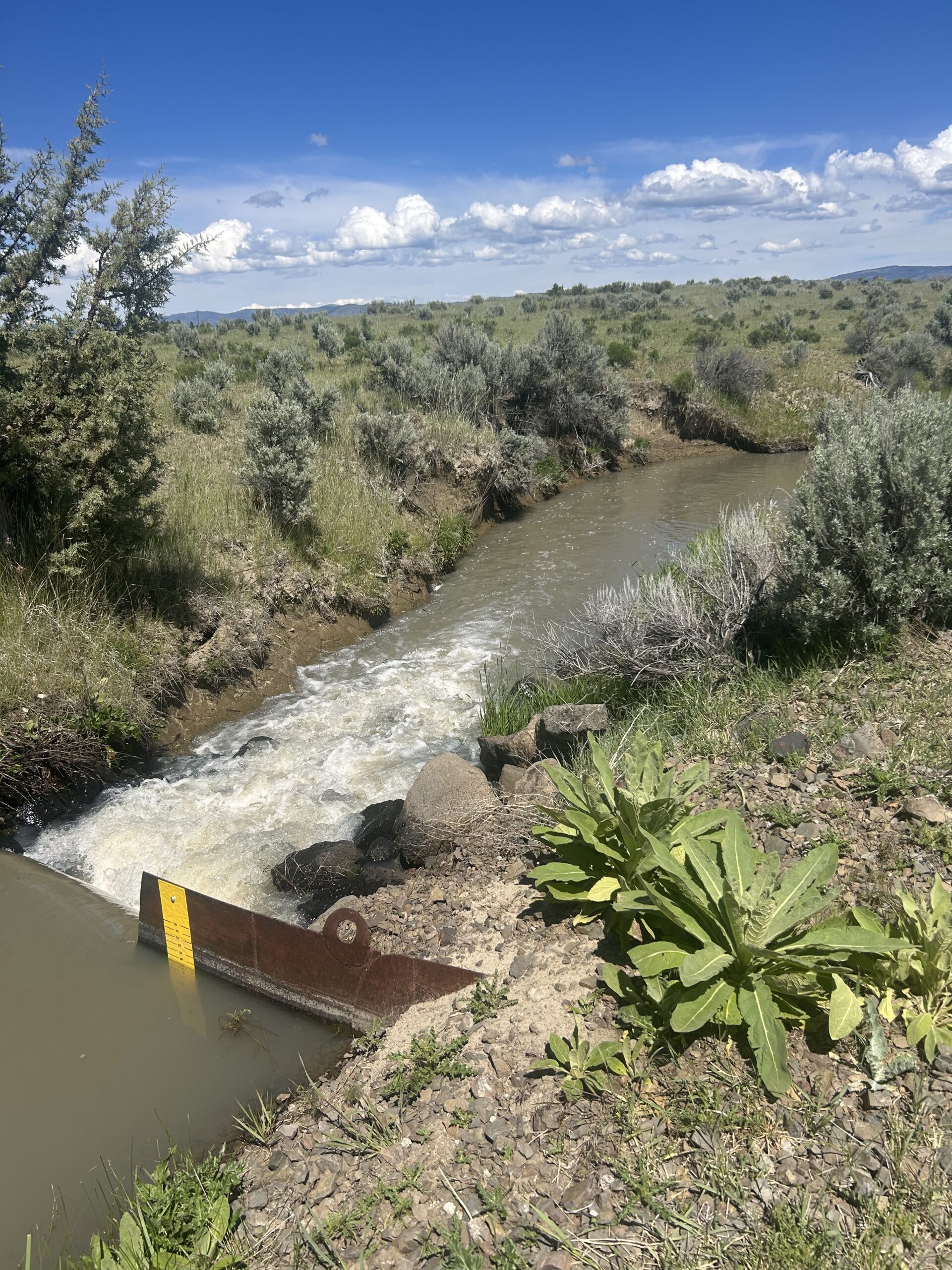 Flowing Wells Ranch - Cattle/Recreation - 868+/- Acres (Lakeview, OR) - Image 52