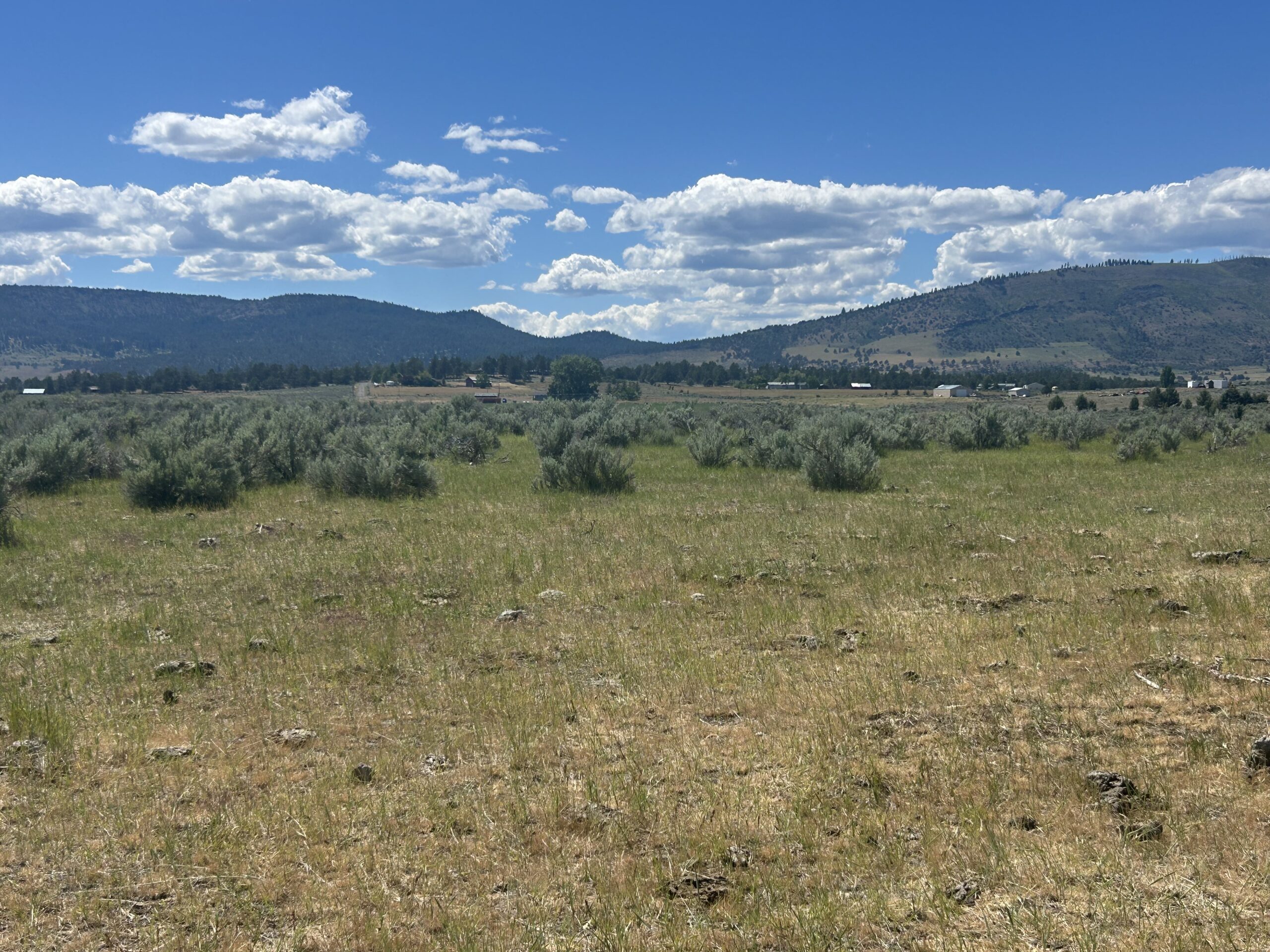Flowing Wells Ranch - Cattle/Recreation - 868+/- Acres (Lakeview, OR) - Image 51