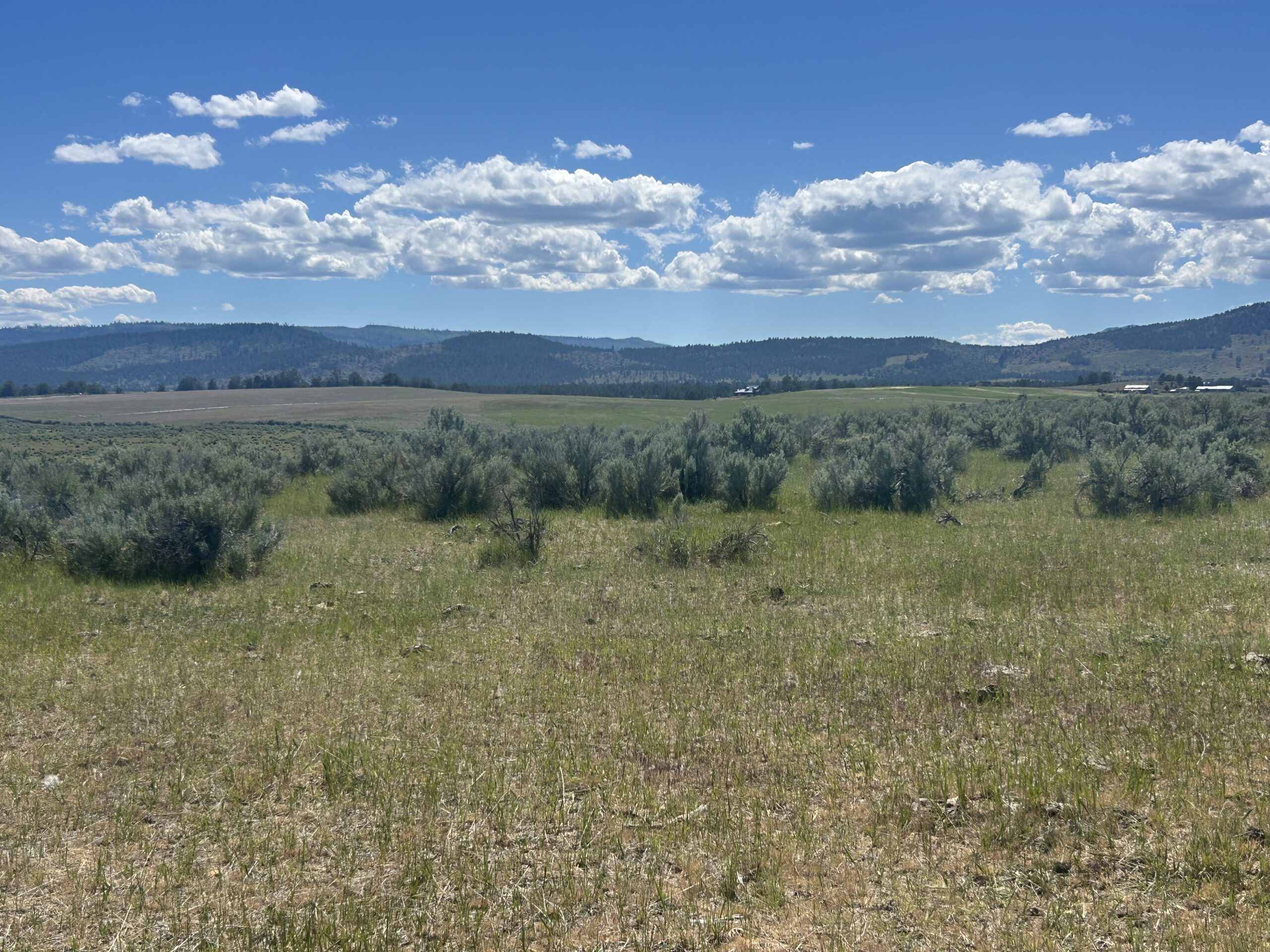 Flowing Wells Ranch - Cattle/Recreation - 868+/- Acres (Lakeview, OR) - Image 68