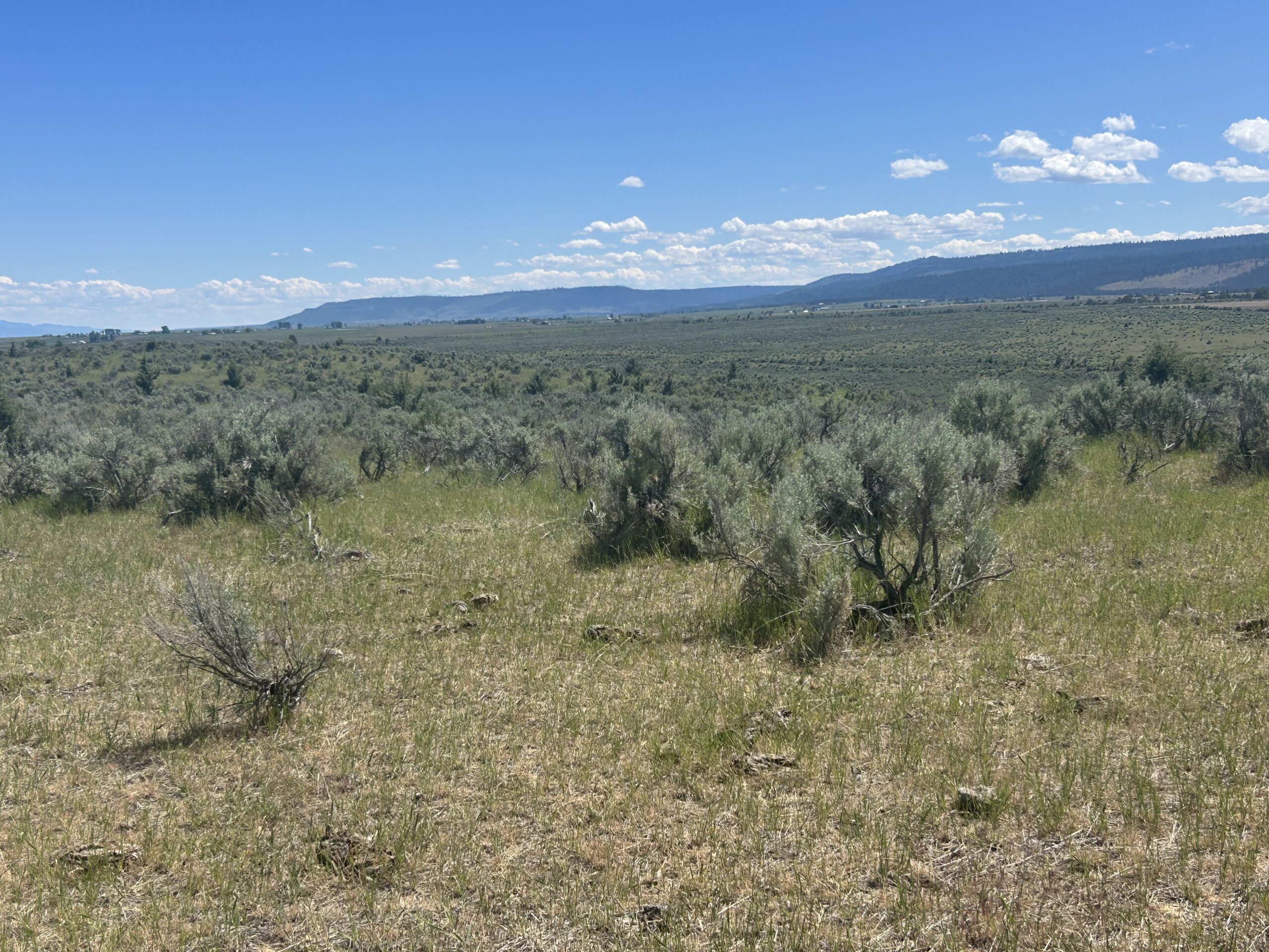 Flowing Wells Ranch - Cattle/Recreation - 868+/- Acres (Lakeview, OR) - Image 67
