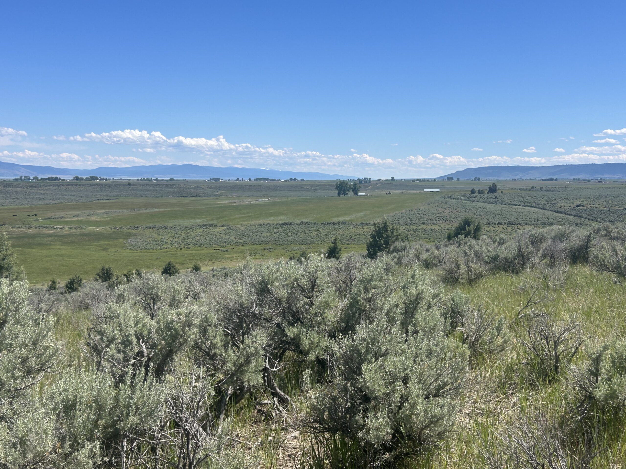 Flowing Wells Ranch - Cattle/Recreation - 868+/- Acres (Lakeview, OR) - Image 66