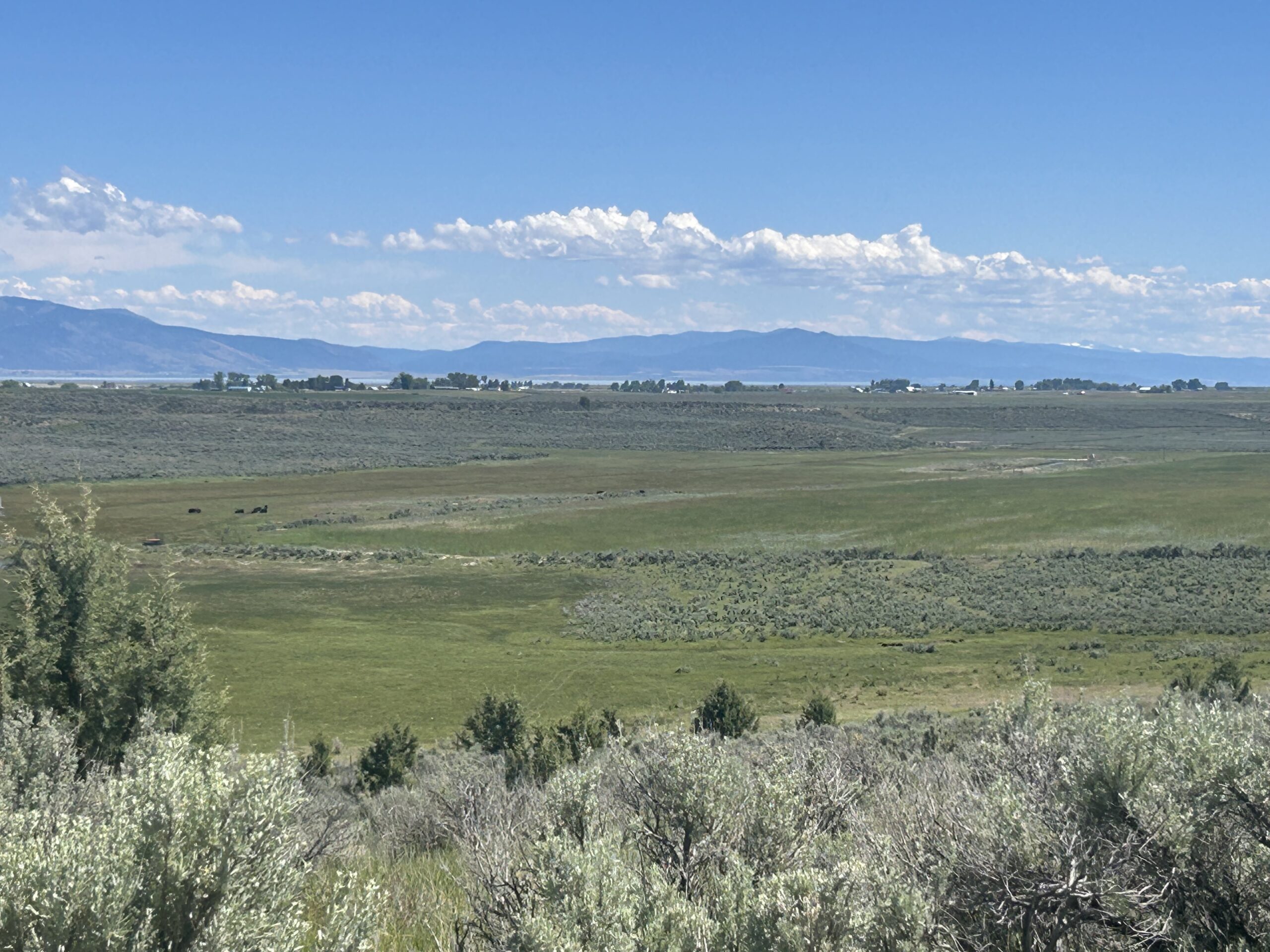 Flowing Wells Ranch - Cattle/Recreation - 868+/- Acres (Lakeview, OR) - Image 65