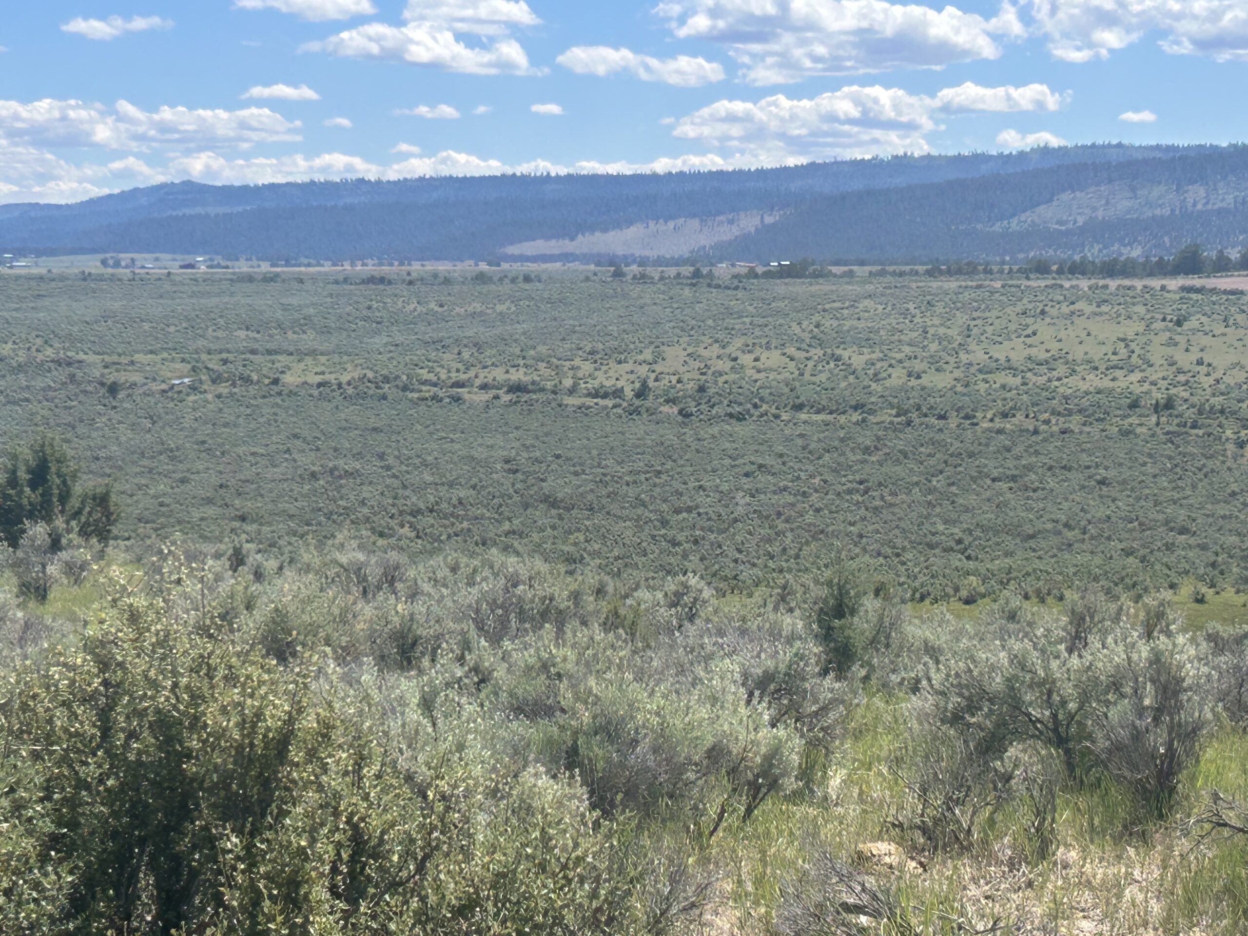 Flowing Wells Ranch - Cattle/Recreation - 868+/- Acres (Lakeview, OR) - Image 63