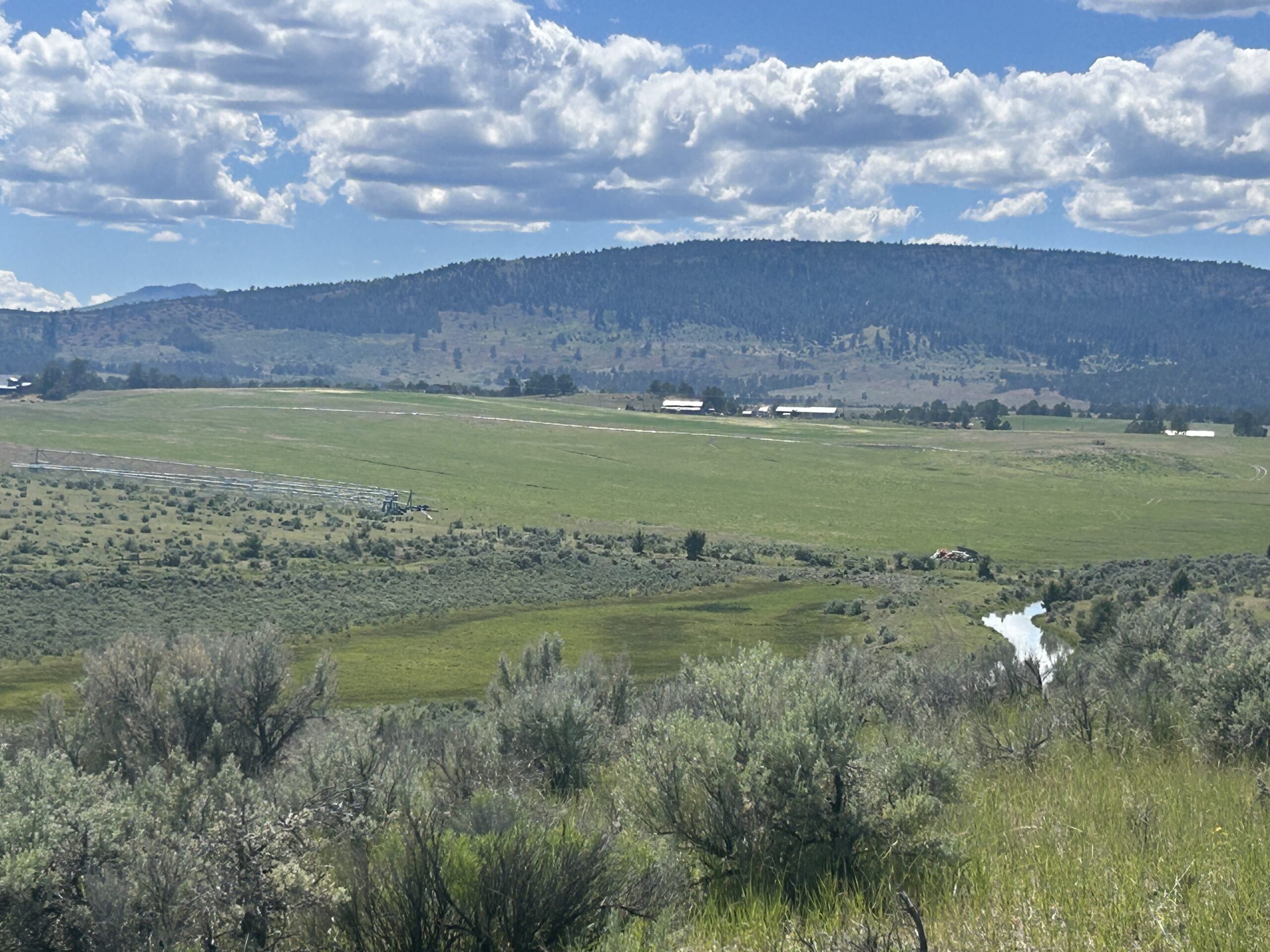 Flowing Wells Ranch - Cattle/Recreation - 868+/- Acres (Lakeview, OR) - Image 49