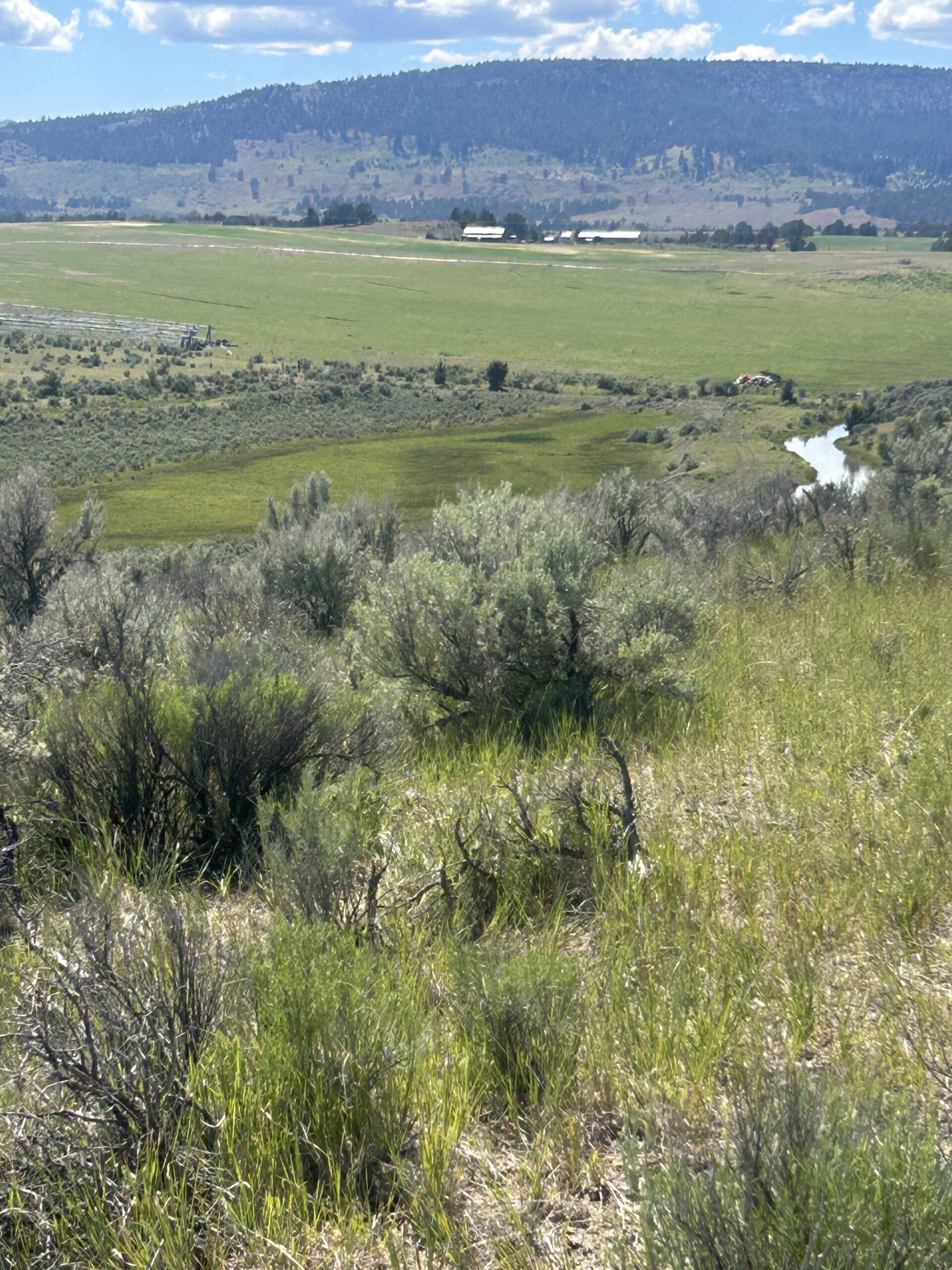 Flowing Wells Ranch - Cattle/Recreation - 868+/- Acres (Lakeview, OR) - Image 48