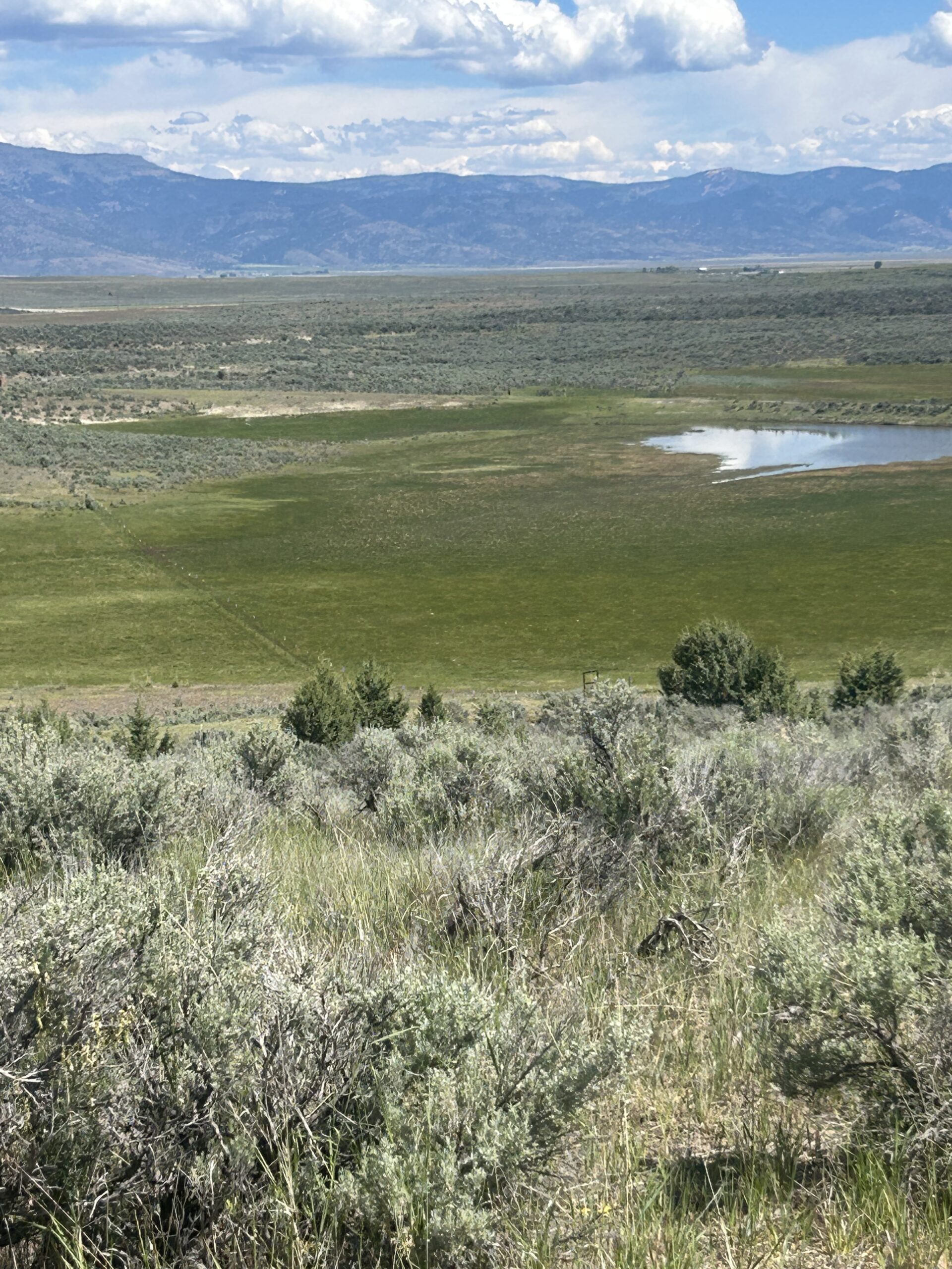 Flowing Wells Ranch - Cattle/Recreation - 868+/- Acres (Lakeview, OR) - Image 47