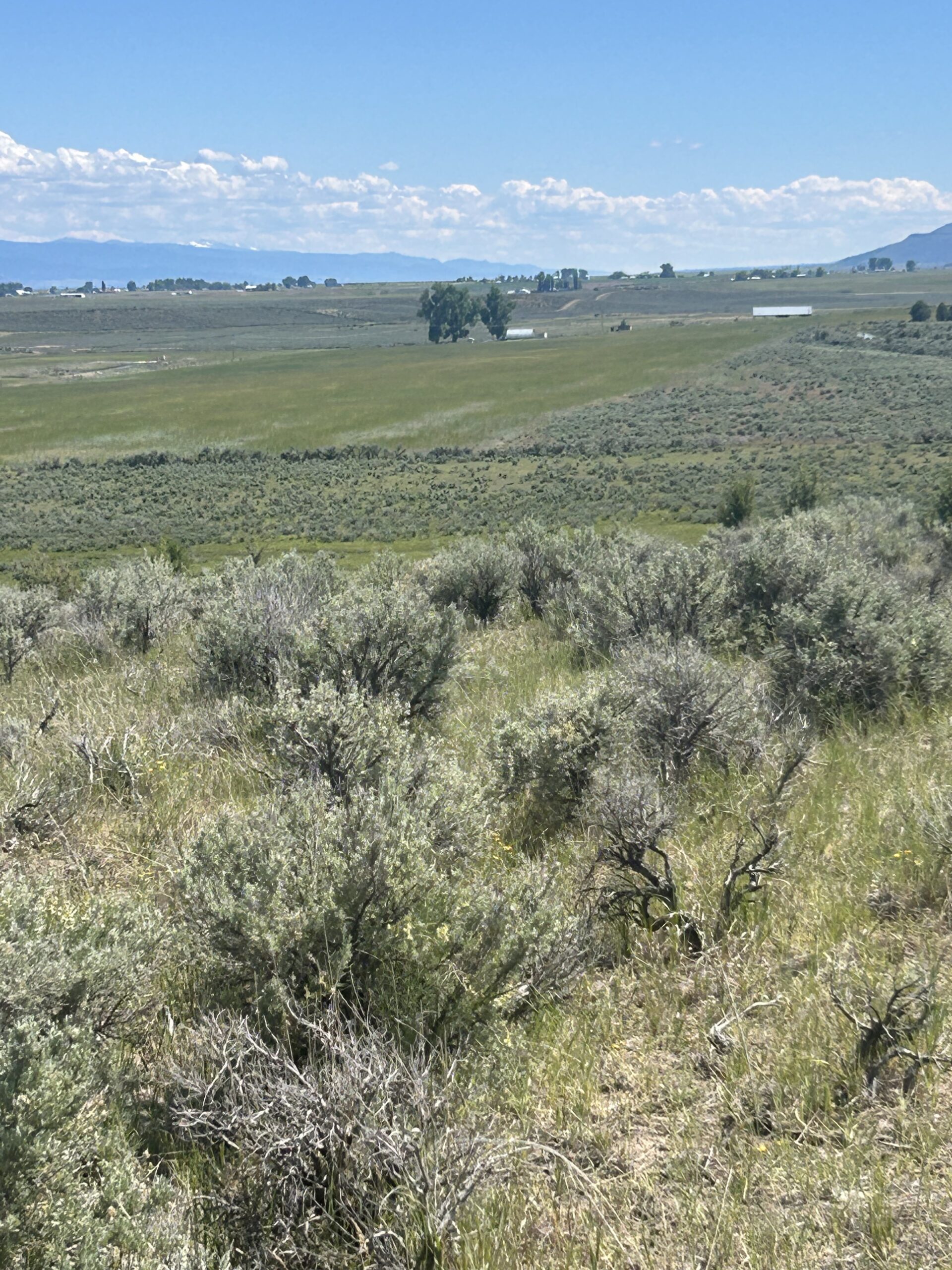 Flowing Wells Ranch - Cattle/Recreation - 868+/- Acres (Lakeview, OR) - Image 62
