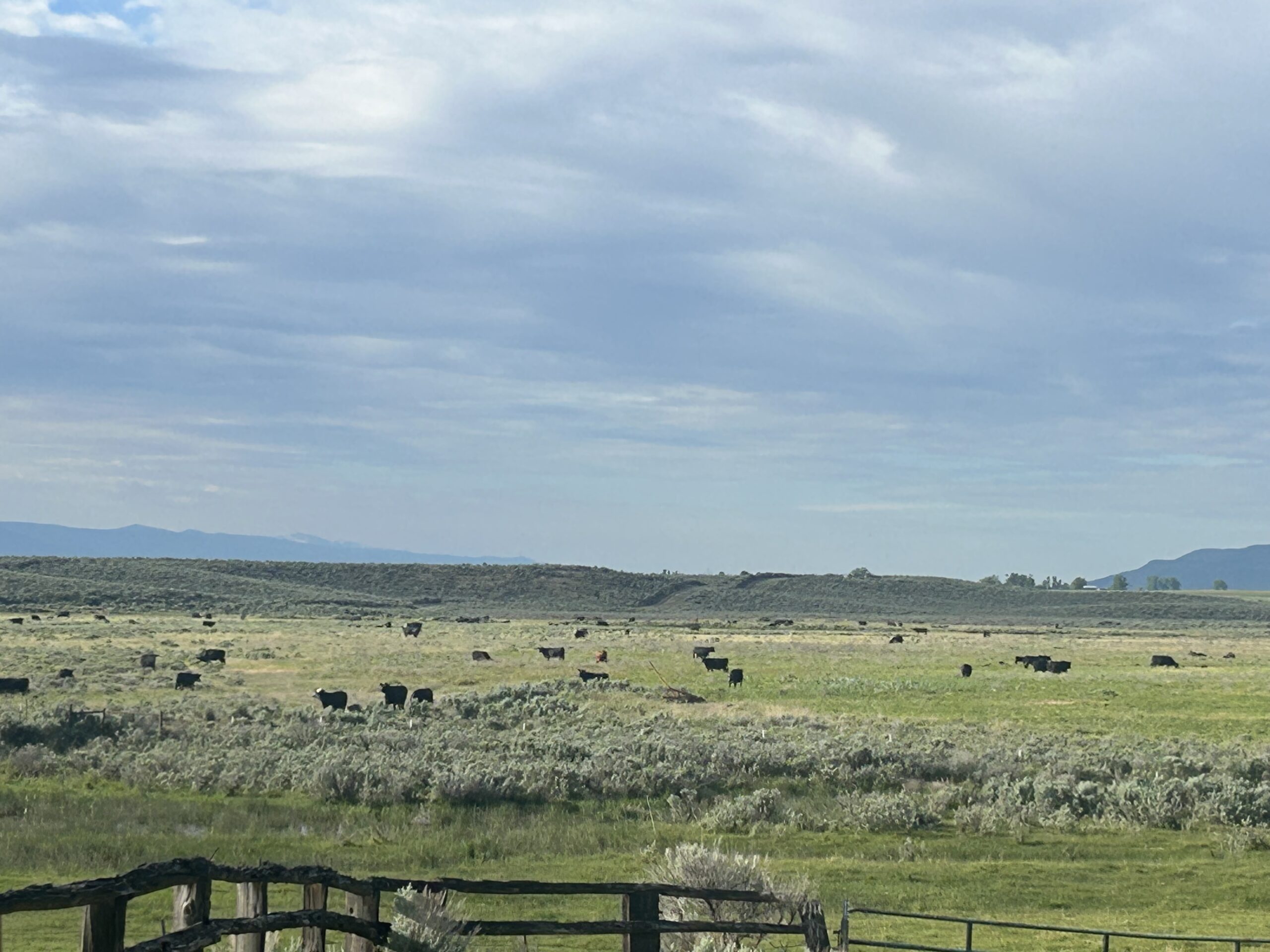Flowing Wells Ranch - Cattle/Recreation - 868+/- Acres (Lakeview, OR) - Image 61