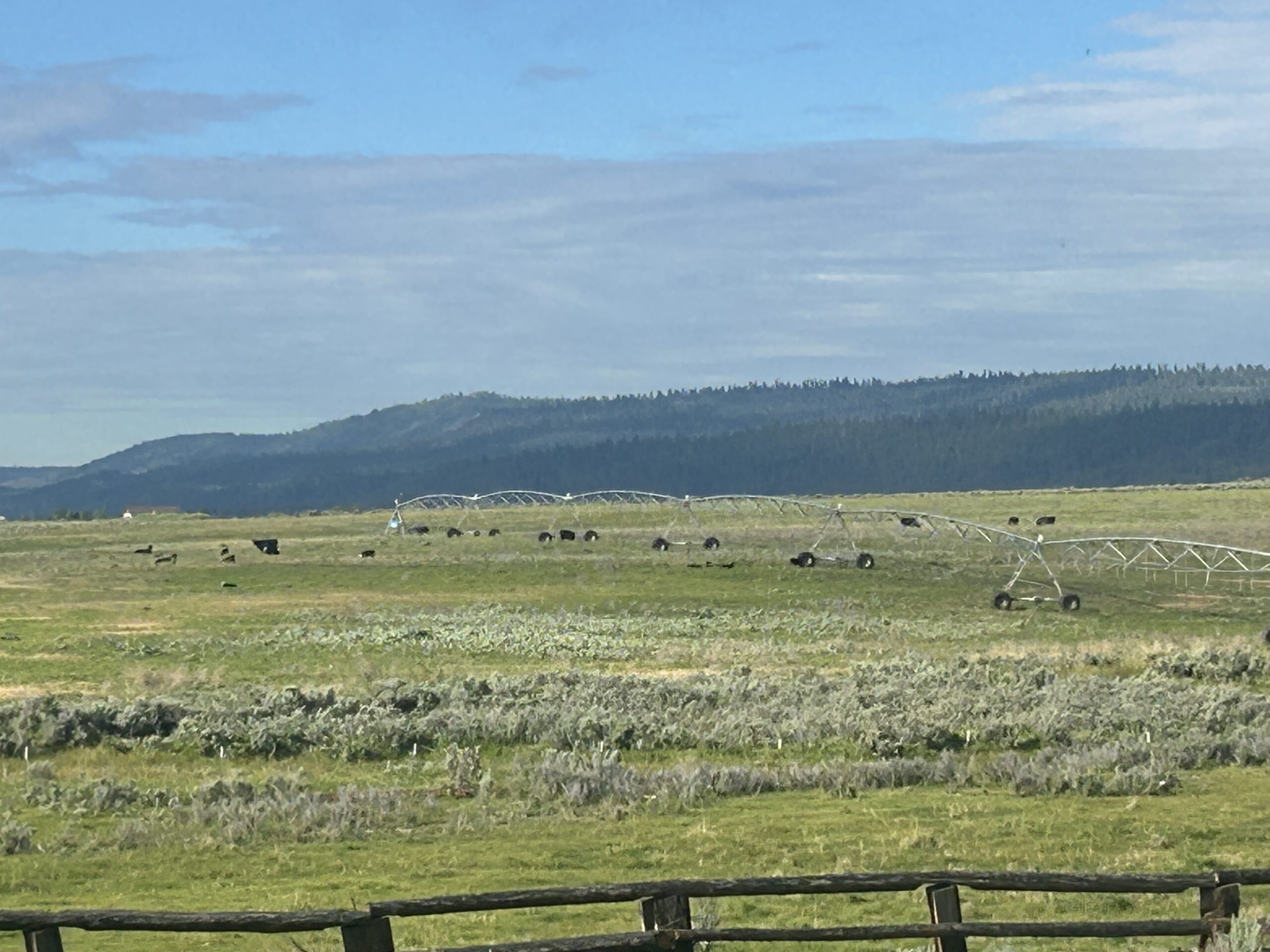 Flowing Wells Ranch - Cattle/Recreation - 868+/- Acres (Lakeview, OR) - Image 60
