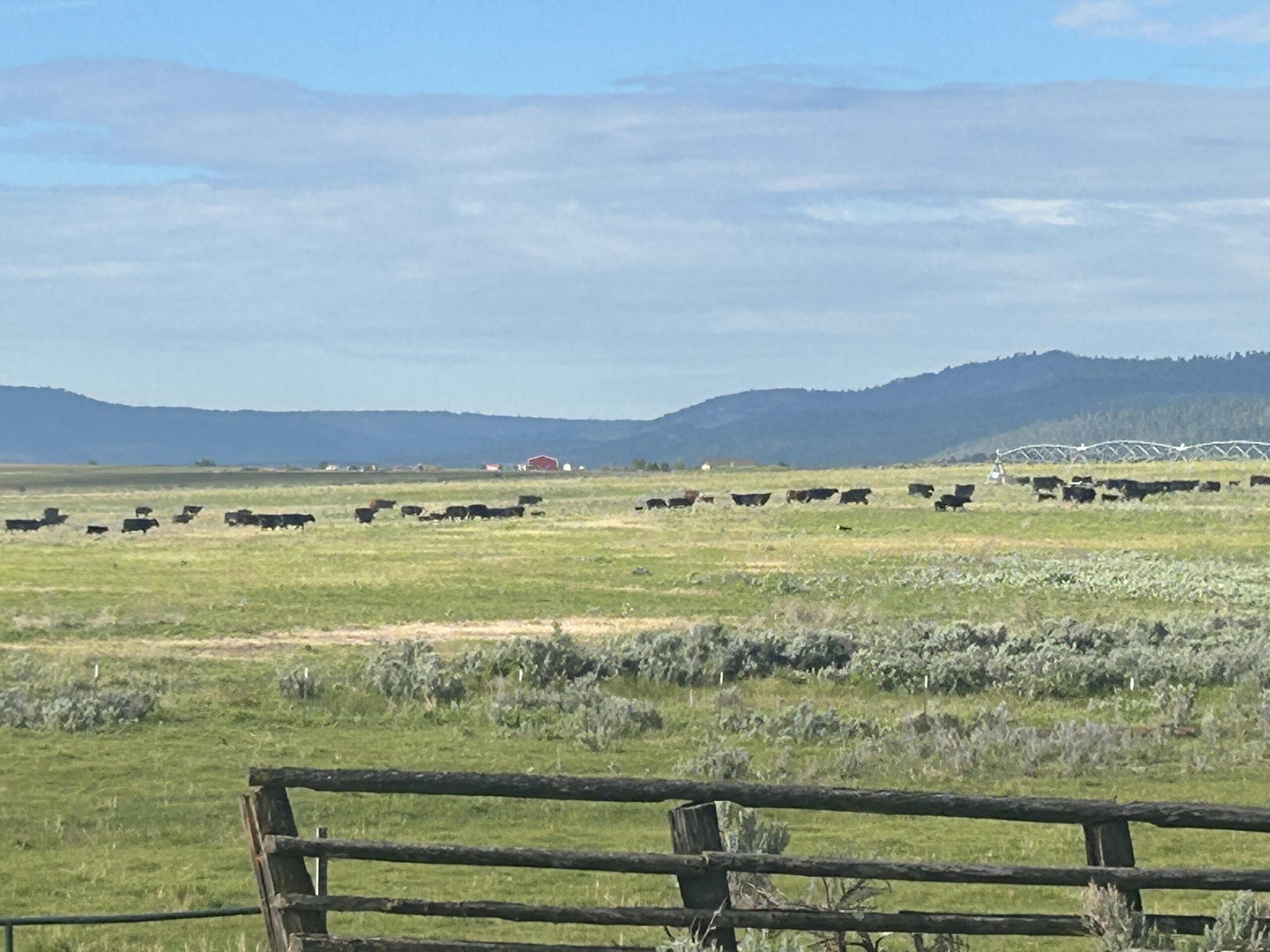 Flowing Wells Ranch - Cattle/Recreation - 868+/- Acres (Lakeview, OR) - Image 46
