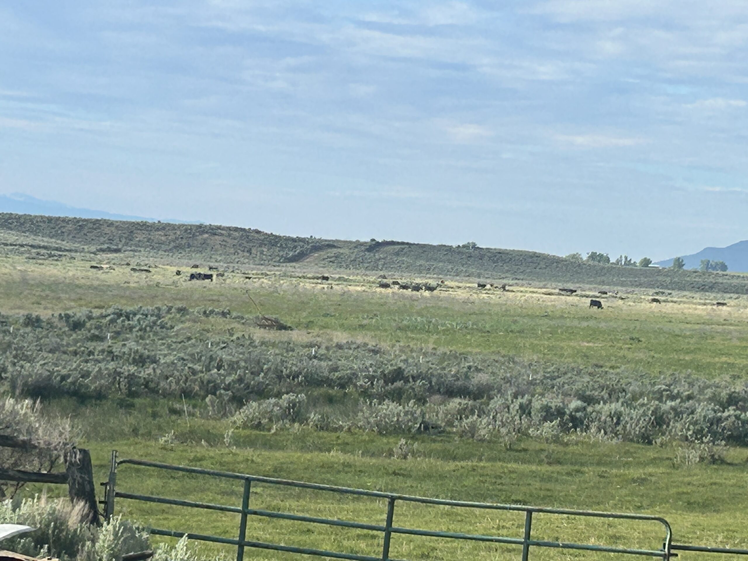 Flowing Wells Ranch - Cattle/Recreation - 868+/- Acres (Lakeview, OR) - Image 45