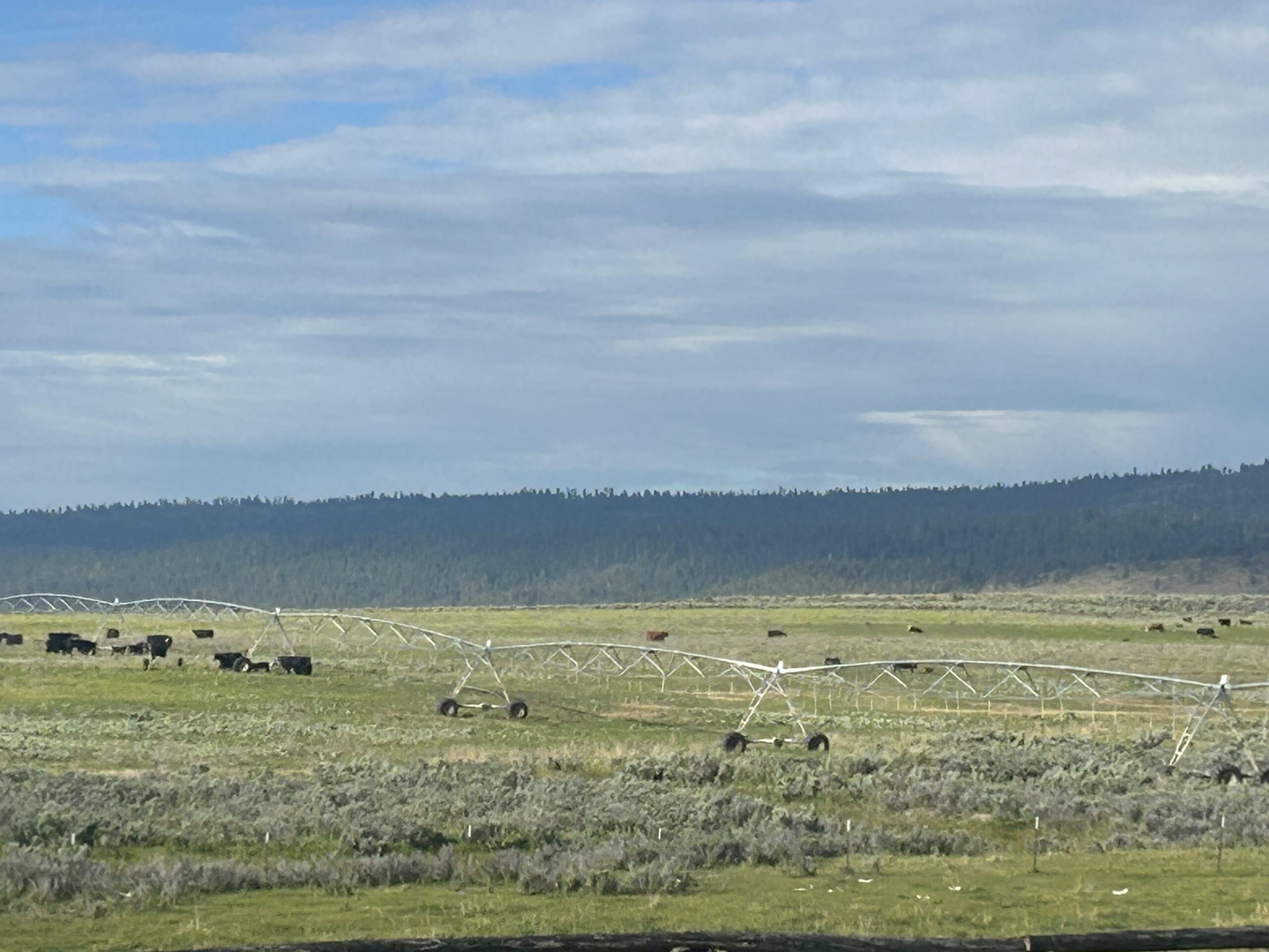 Flowing Wells Ranch - Cattle/Recreation - 868+/- Acres (Lakeview, OR) - Image 59