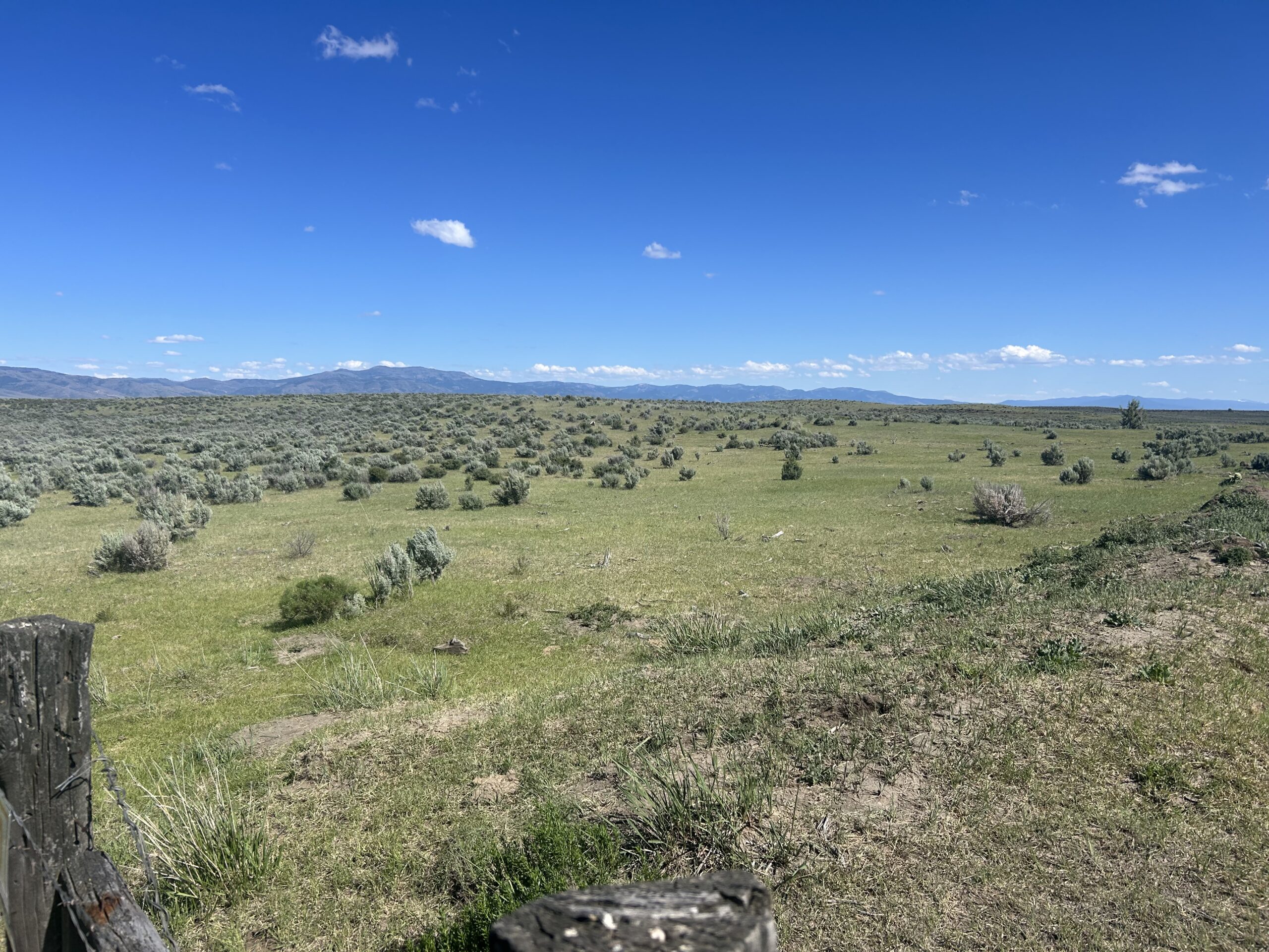 Flowing Wells Ranch - Cattle/Recreation - 868+/- Acres (Lakeview, OR) - Image 44