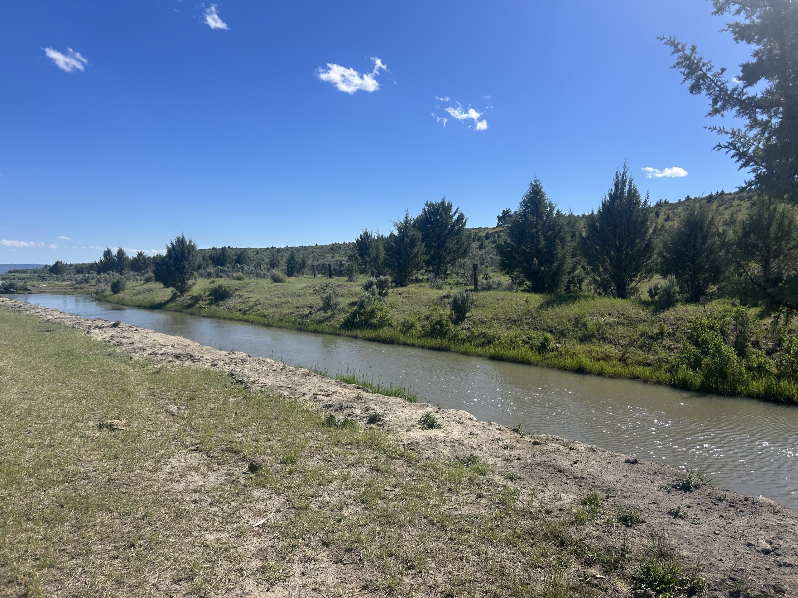 Flowing Wells Ranch - Cattle/Recreation - 868+/- Acres (Lakeview, OR) - Image 43